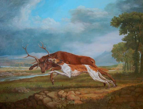 Hound Coursing A Stag