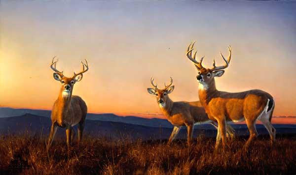 Deer Oil Painting